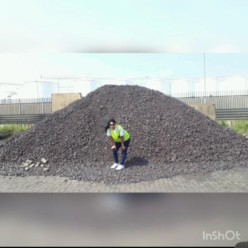 Team member at coal stockpile site